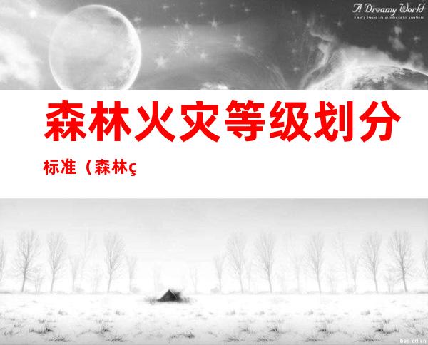 森林火灾等级划分标准(森林火灾等级的划分)