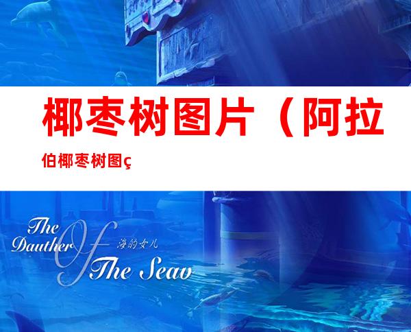 椰枣树图片(阿拉伯椰枣树图片)