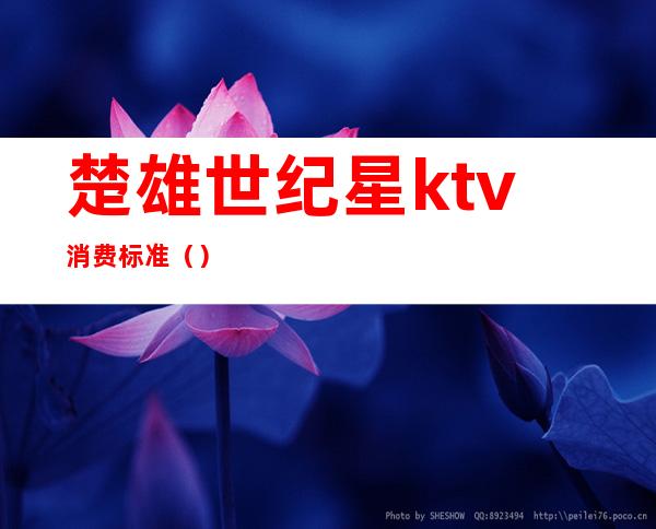 楚雄世纪星ktv消费标准（）