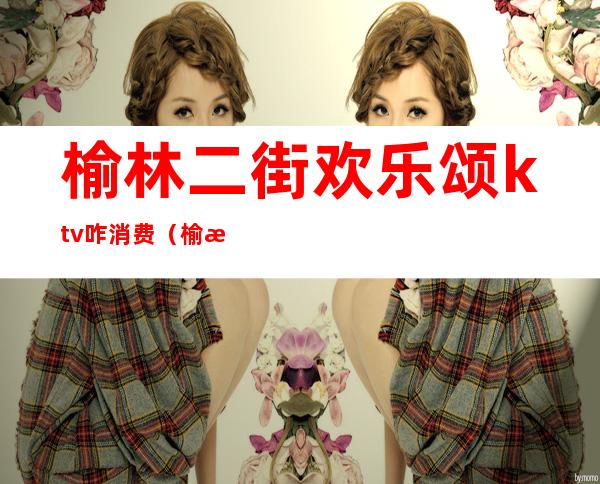 榆林二街欢乐颂ktv咋消费（榆林华纳ktv南门口）