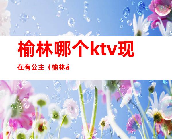 榆林哪个ktv现在有公主(榆林好玩的ktv)
