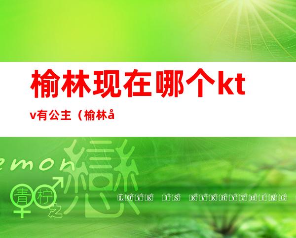 榆林现在哪个ktv有公主（榆林好玩的ktv）