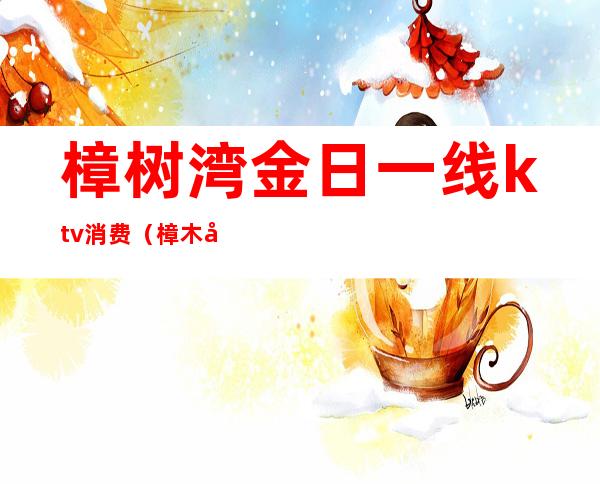 樟树湾金日一线ktv消费(樟木头天一城ktv)