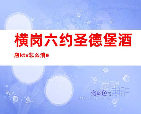 横岗六约圣德堡酒店ktv怎么消费(横岗六约圣德堡酒店ktv怎么消费划算)