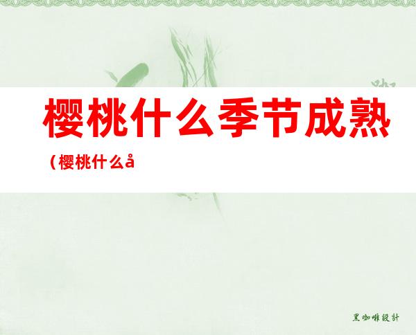 樱桃什么季节成熟(樱桃什么季节成熟什么颜色)