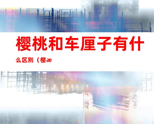 樱桃和车厘子有什么区别（樱桃和车厘子有什么区别啊）