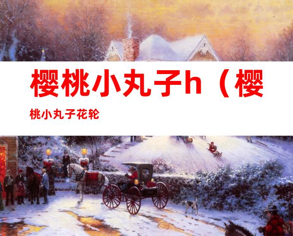 樱桃小丸子h(樱桃小丸子花轮)
