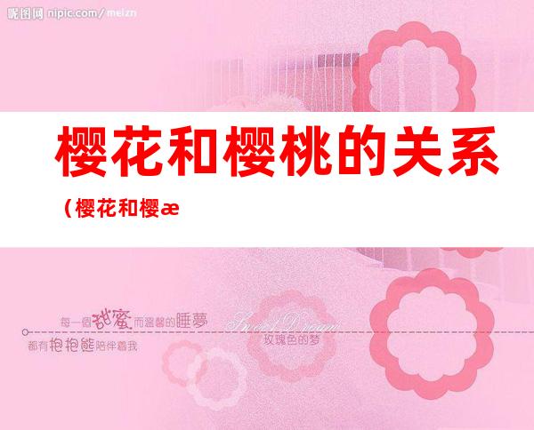 樱花和樱桃的关系（樱花和樱桃有什么关系）