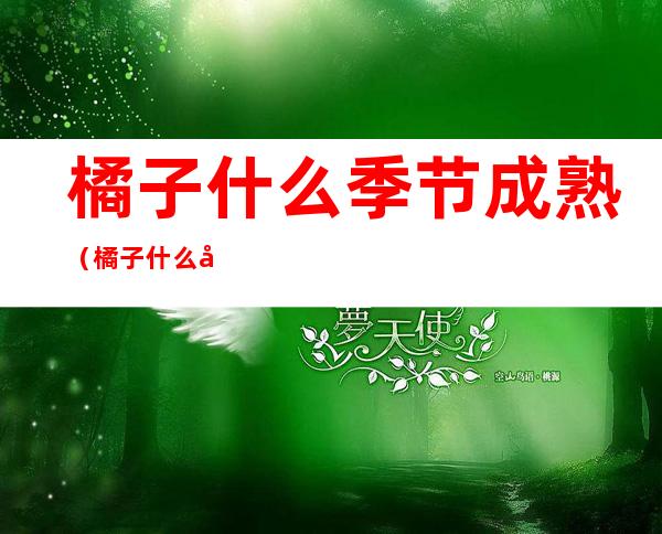 橘子什么季节成熟(橘子什么季节)