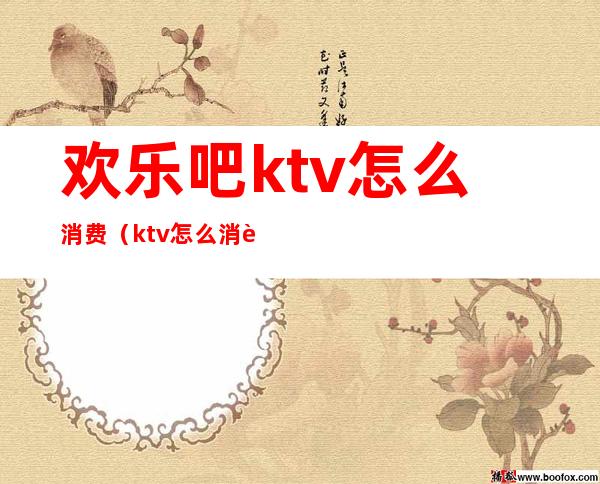 欢乐吧ktv怎么消费(ktv怎么消费的)