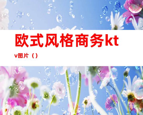 欧式风格商务ktv图片()