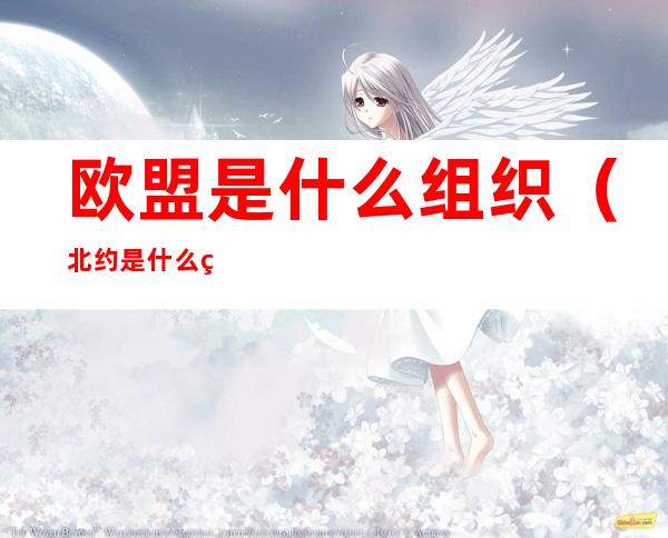 欧盟是什么组织(北约是什么组织欧盟是什么组织)
