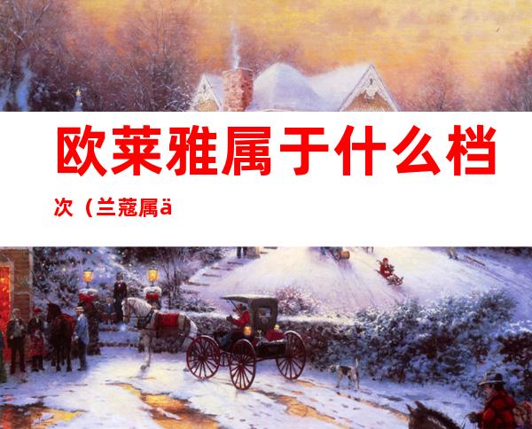 欧莱雅属于什么档次(兰蔻属于什么档次)