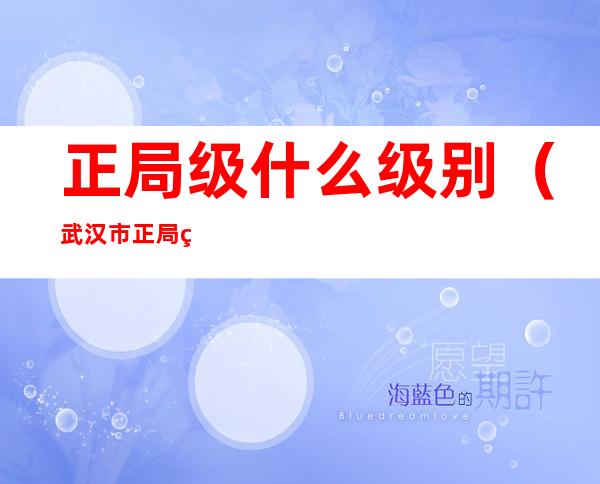 正局级什么级别(武汉市正局级什么级别)