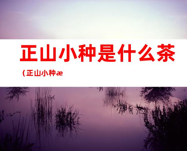 正山小种是什么茶(正山小种是什么茶有保质期吗)