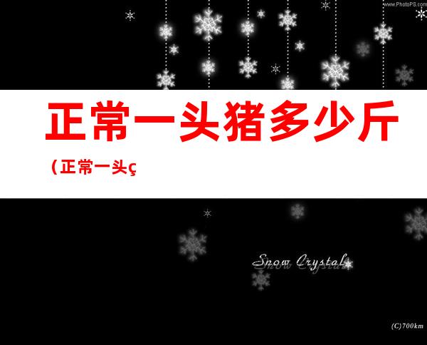 正常一头猪多少斤(正常一头猪多少斤出栏)