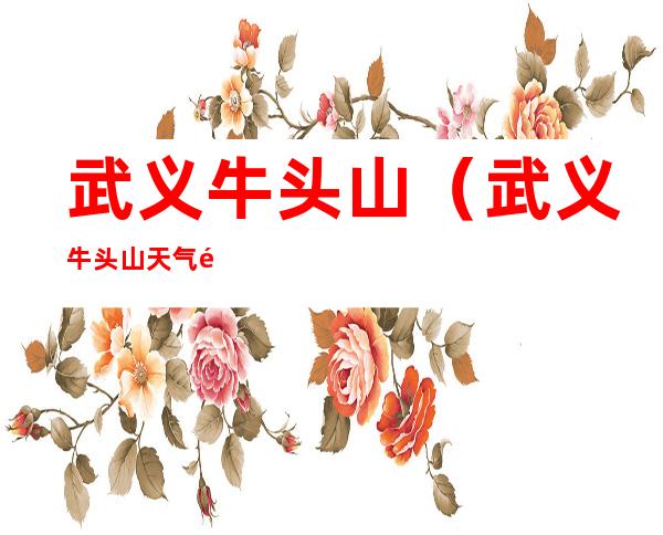 武义牛头山(武义牛头山天气预报)
