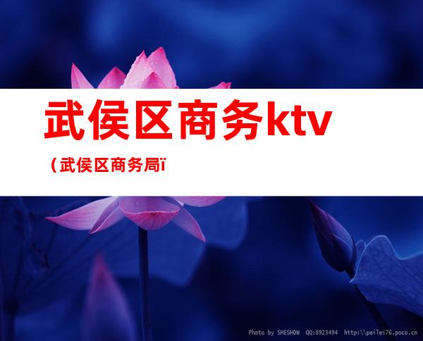 武侯区商务ktv(武侯区商务局)