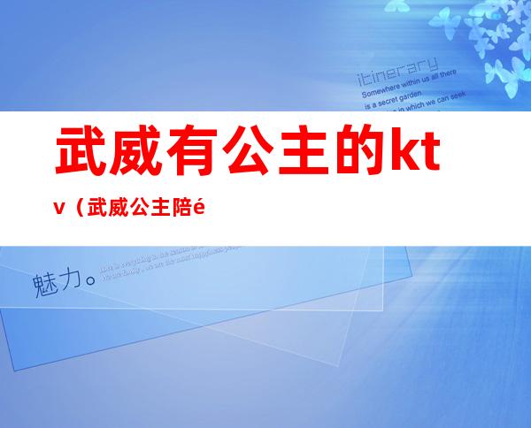 武威有公主的ktv（武威公主陪酒）