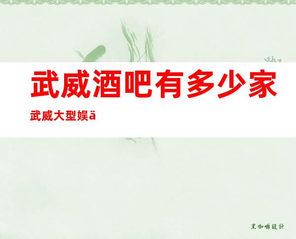 武威酒吧有多少家 武威大型娱乐场所有哪些