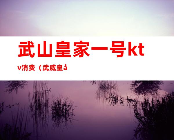 武山皇家一号ktv消费(武威皇家一号ktv)