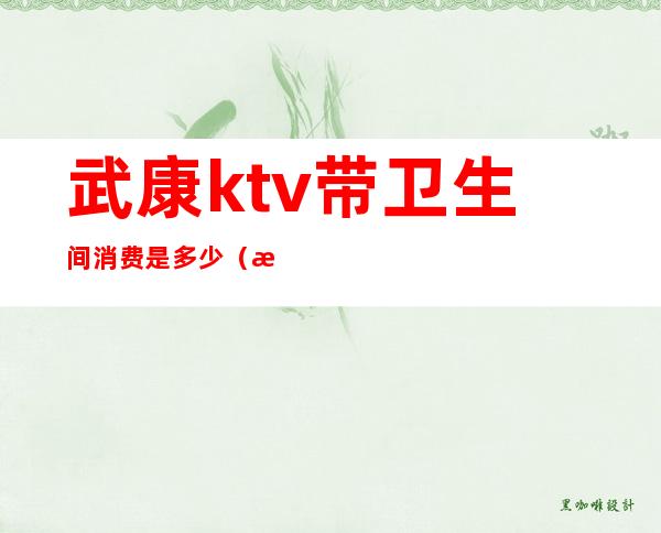 武康ktv带卫生间消费是多少(武康城市一号ktv)