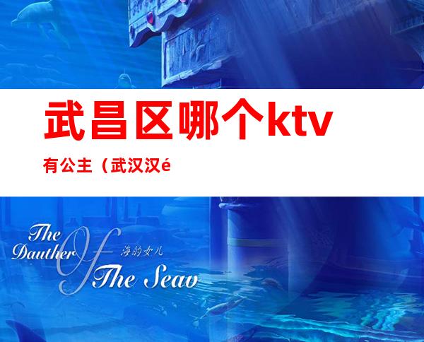 武昌区哪个ktv有公主(武汉汉阳ktv)