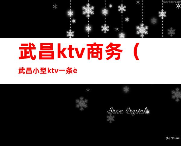 武昌ktv商务(武昌小型ktv一条街)