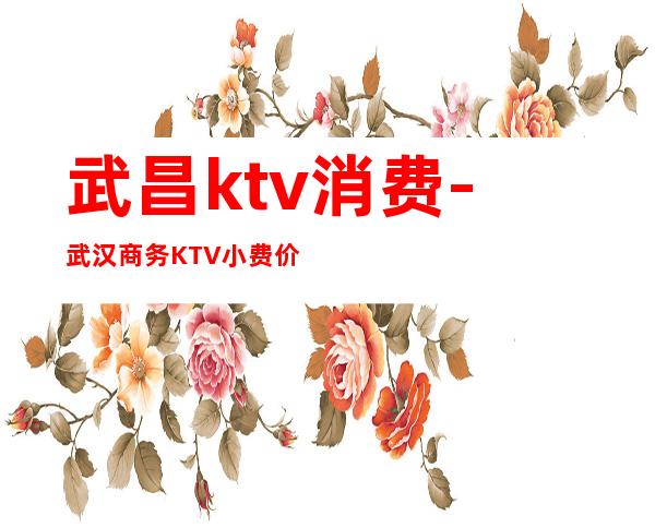 武昌ktv消费-武汉商务KTV小费价格排行?
