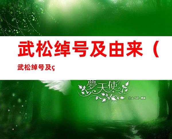武松绰号及由来(武松绰号及由来简介)