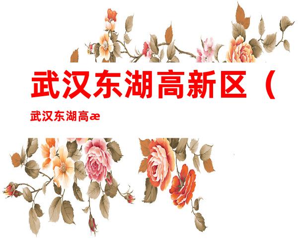 武汉东湖高新区(武汉东湖高新区属于哪个区)