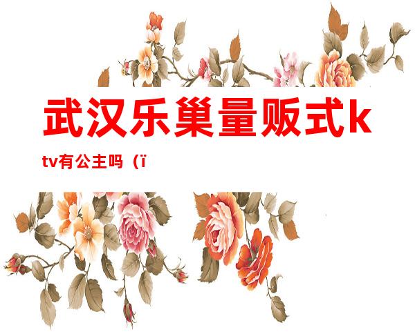 武汉乐巢量贩式ktv有公主吗()
