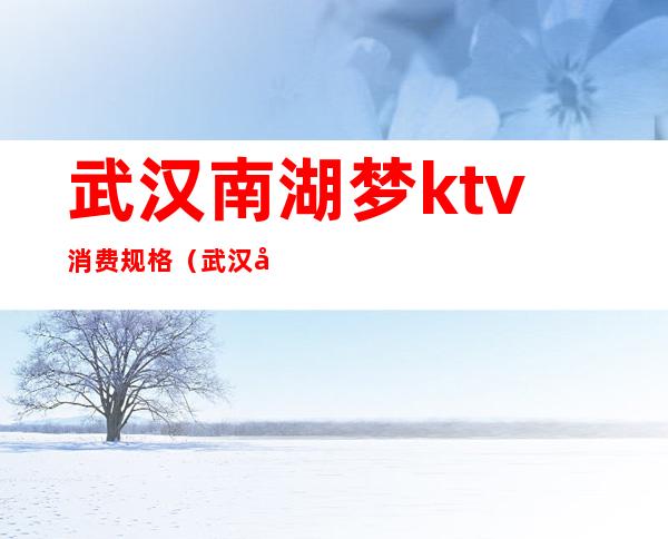 武汉南湖梦ktv消费规格(武汉南湖KTV)