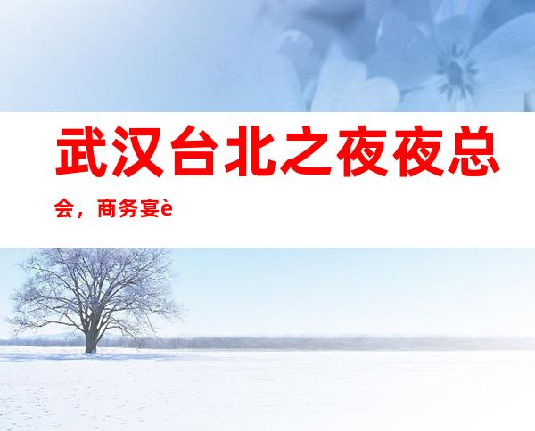 武汉台北之夜夜总会，商务宴请接待客户选择