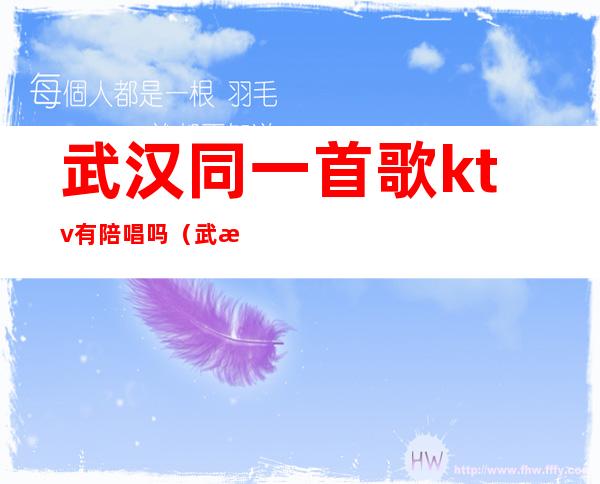 武汉同一首歌ktv有陪唱吗(武汉同一首歌ktv有陪唱吗)