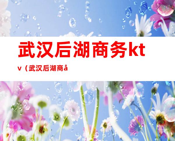 武汉后湖商务ktv（武汉后湖商圈）