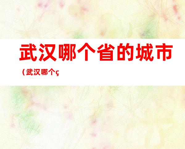 武汉哪个省的城市(武汉哪个省的城市最大)