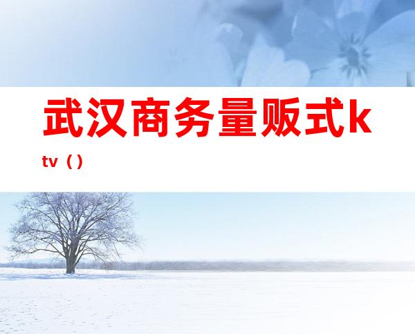 武汉商务量贩式ktv()