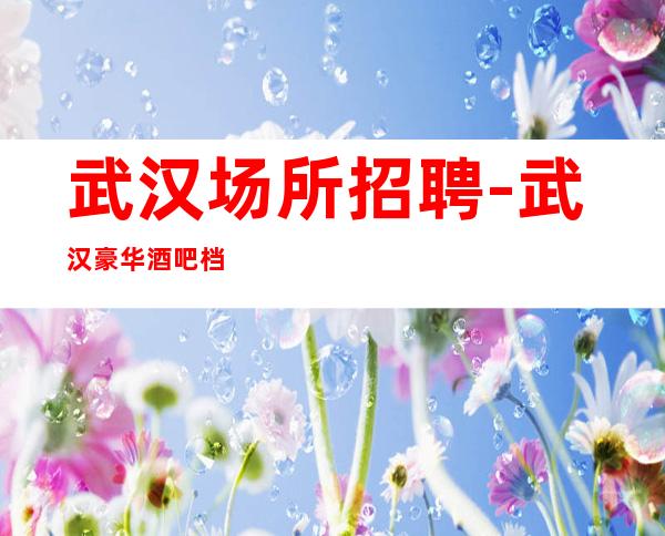 武汉场所招聘-武汉豪华酒吧档次高方便自由秒上二房