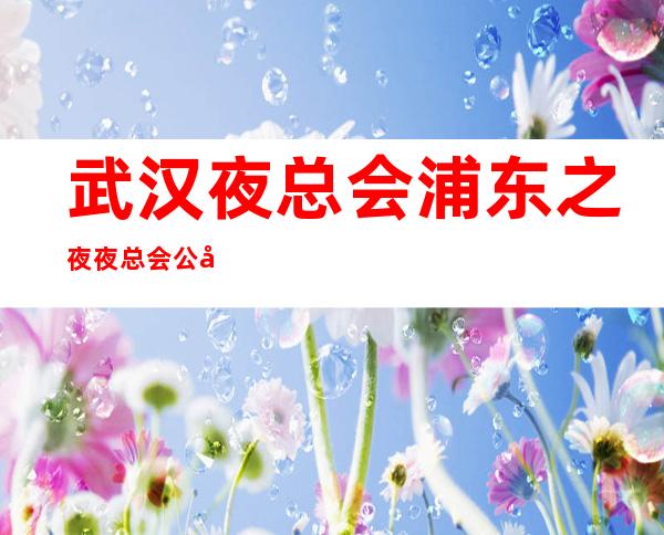 武汉 夜总会 浦东之夜夜总会公司任务又少生意又好
