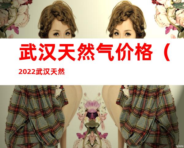 武汉天然气价格(2022武汉天然气价格)
