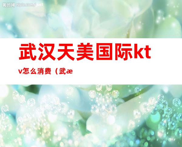 武汉天美国际ktv怎么消费（武汉天美国际ktv怎么消费的）