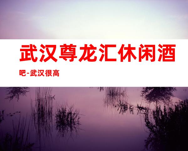 武汉尊龙汇休闲酒吧-武汉很高的商务休闲酒吧