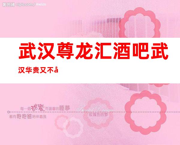 武汉尊龙汇酒吧武汉华贵又不失雅致酒吧