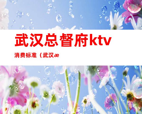 武汉总督府ktv消费标准(武汉总督府ktv消费标准多少)