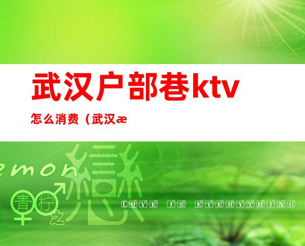 武汉户部巷ktv怎么消费(武汉汉街ktv)