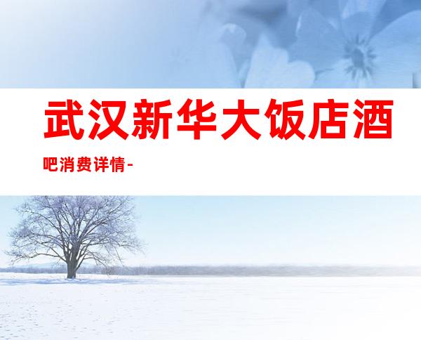 武汉新华大饭店酒吧消费详情-武汉新华大饭店酒吧详细攻略