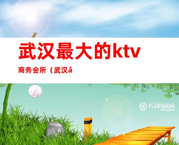 武汉最大的ktv商务会所(武汉好玩的商务KTV)