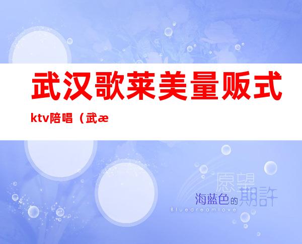 武汉歌莱美量贩式ktv陪唱(武汉歌迷量贩KTV)
