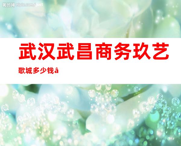 武汉武昌商务玖艺歌城多少钱 – 武汉武昌商务KTV